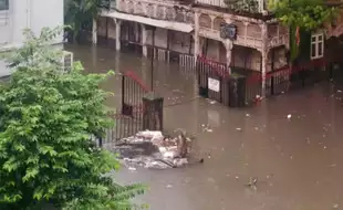 Monsoon Diseases like Malaria, Dengue, Leptospirosis Can Intensify In Mumbai As The City Gets Flooded Due to Rains; Ways To Protect Yourself