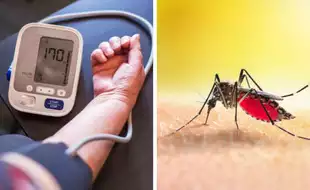 Dengue Crisis In India: Experts Warn Vector Fever Seriously Affects Blood Pressure Levels; Ways To Manage