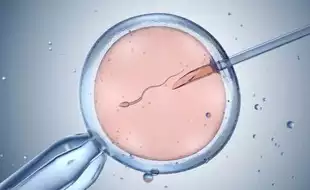 Can IVF Have 100% Success Rate? Expert Debunks Myths Around The Procedure