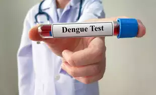 Dengue In India: Cases Spike Across The Country; Foods To Increase Your Platelet Count