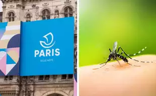 France Says Is All Set To Combat 'Super Spreader' Dengue Ahead Of Paris Olympics 2024