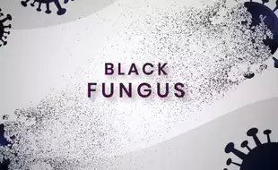 What Is Black Fungus (Mucormycosis)? Symptoms To Watch Out For