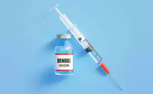 India Initiates First-Ever Phase 3 Clinical Trial for Dengue Vaccine