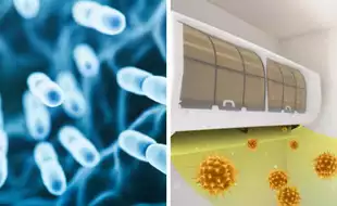 Italy Issues Travel Alert After Deadly Infection Kills 4; Know About Legionnaires’ Disease Spreads Through Water Vapours