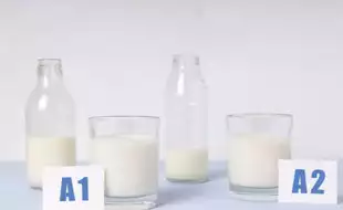 FSSAI Withdraws Advisory on A1, A2 Milk Types; Do They Affect Your Digestive Health?