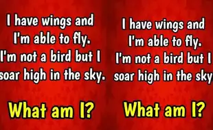 Brain Teaser Riddle Of The Day: 'I Have Wings And Fly High, But I'm Not A Bird – Can You Guess What I Am?'