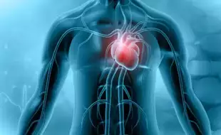 Scientists Uncover Surprise Source of Cardiac Inflammation; Offer New Hopes For Preventing Heart Diseases