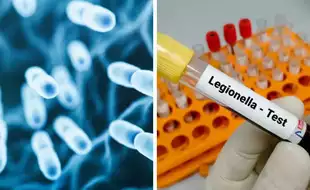 Fourth Death Linked to Legionnaires’ Disease Cluster At A New York Assisted Living Facility