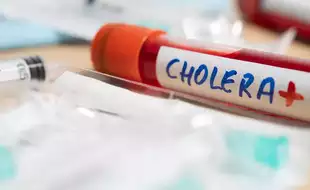 Goa Witnesses Increase In Cases Of Cholera; Symptoms And Preventive Measures For The Bacterial Infection