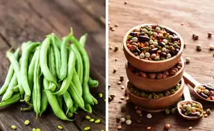 Why Are Beans A Natural Superfood? Know All About The Power-Packed Protein , Fibre Powerhouse