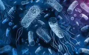 Superbugs Could Kill Nearly 40 Million People By 2050, Study Estimates; Know How