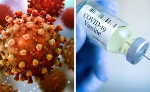 New COVID-19 Variant XEC Spreads to 27 Countries; Is More Contagious, Experts Warn