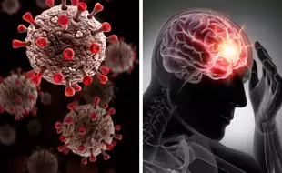 Top 5 Most Dangerous Viruses In The World That Can Impact Your Brain