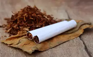 Union Minister Reveals Tobacco Claims 1.3 Million Lives Annually In India; Tips To Prevent Tobacco Use