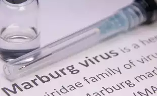 Rwanda Reports Six Deaths Due To Marburg Virus Outbreak, Here’s What You Should Know About The Fatal Illness