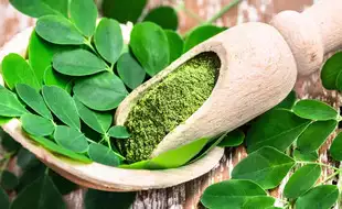 Moringa Powder Or Fresh Moringa? Know What’s Better And Its Health Benefits