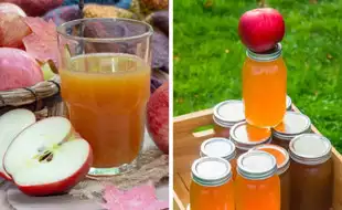 US States Issue Warnings Against Drinking Unpasteurized Apple Cider; Can Make You Sick With Bacterial Contamination