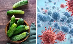 Salmonella Poisoning: Boy Dies After Consuming Cucumber; Know The Symptoms And Ways To Prevent The Infection