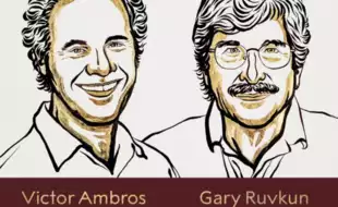 Victor Ambros And Gary Ruvkun Win Nobel Prize In Physiology Or Medicine For Discovery Of MicroRNA