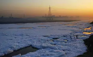 Delhi Yamuna River Covered In Froth: Here's How It Can Pose A Risk To Your Health