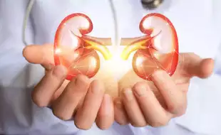 Kidney Health: 8 Daily Habits To Follow To Keep The Organ Healthy