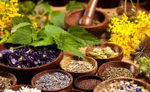 Do Natural Remedies Work Against Kidney Diseases? Expert Weighs In