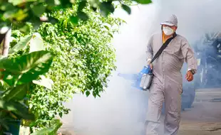 Delhi Witnesses Surge In Dengue Cases, More Than 400 Cases Reported In A Week; Check Preventive Measures Here