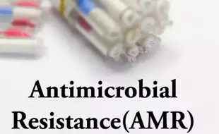 What Is Nafithromycin, The First Indian Antibiotic That Works Against Deadly, Drug-Resistant Bacteria?