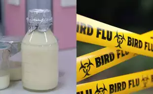 Raw Milk Recall in California Expands After Tests Detect More Bird Flu Virus