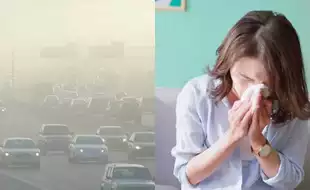 Winter Smog Crisis In Delhi: Allergy Triggers You Need To Watch Out