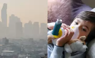 Are Your Children Breathing Danger Every Day? Protect Them from Toxic Air Now!