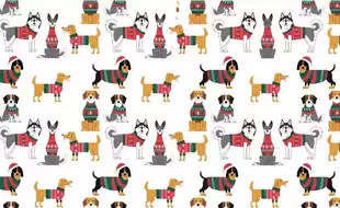 Find The Cat Puzzle: Can You Spot The Sneaky Cat Among The Festive Pups?